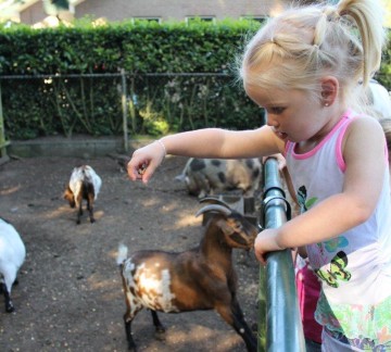 Tierweide