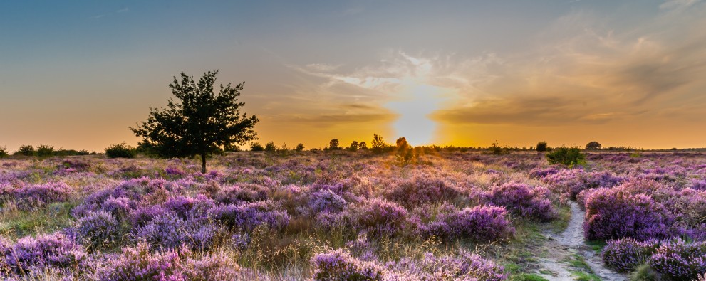 Depositphotos_299977272_xl-2015.jpg