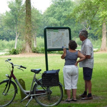 Foto fietsen.jpg