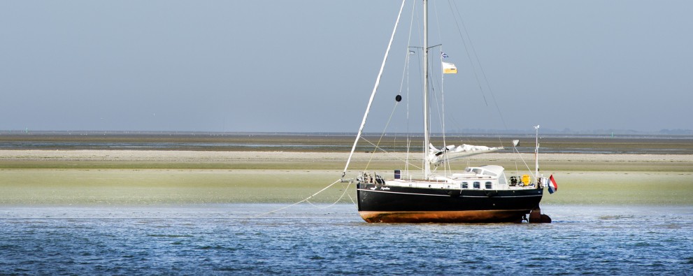 Waddenzee It Wiid