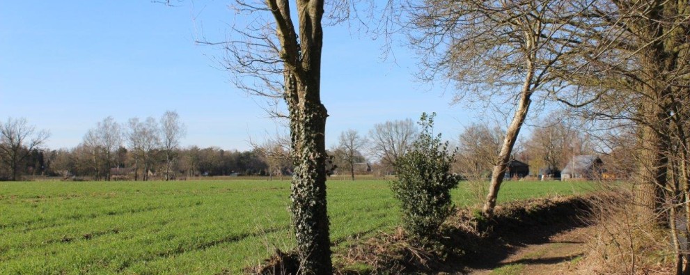 Foto schaveren.jpg Foto schaveren.jpg