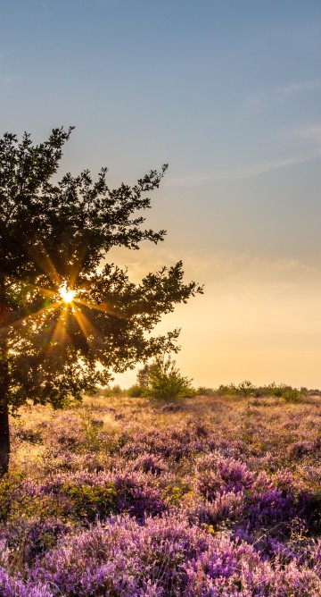 Depositphotos_299977242_xl-2015.jpg