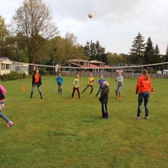 volleybal spelen
