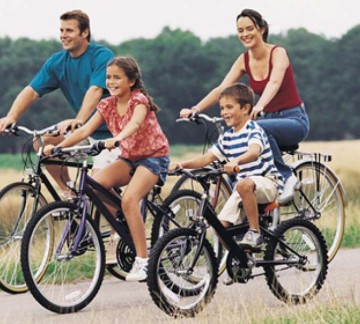 Bicycle rental
