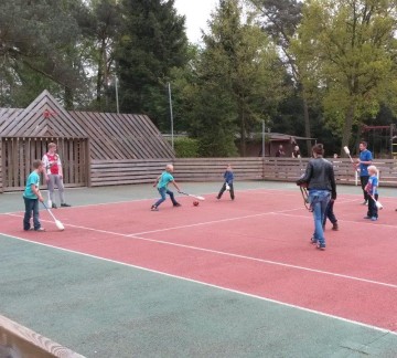Multisport field