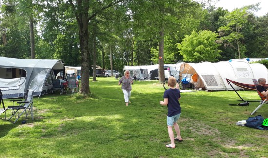 Badminton Douglaslaan.jpg