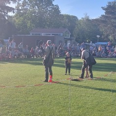 20240511_191902.jpg