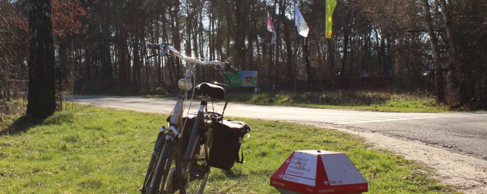 Foto fietsen 1.jpg