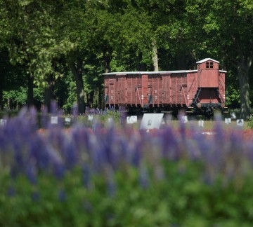 Drenthe - Kamp Westerbork foto juni.jpg