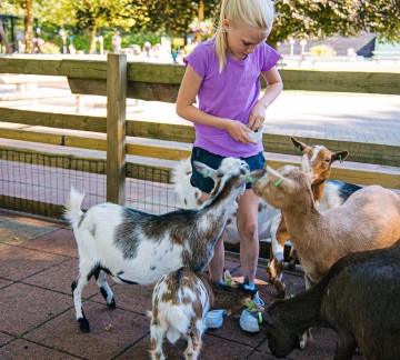 Binky - 818A2508 - Geitjes voeren klein.jpg