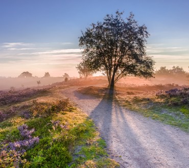 Veluwe